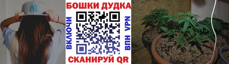 Наркошоп купить ГАШ  Конопля  СК  Меф  Новоузенск