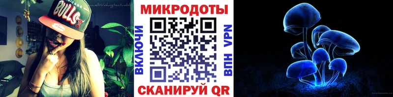 Галлюциногенные грибы Psilocybe  Купить  Новоузенск 